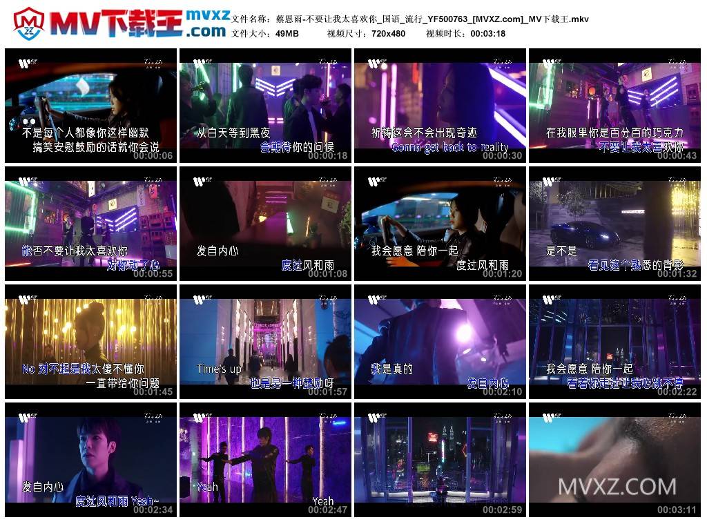 蔡恩雨-不要让我太喜欢你_国语_流行_YF500763